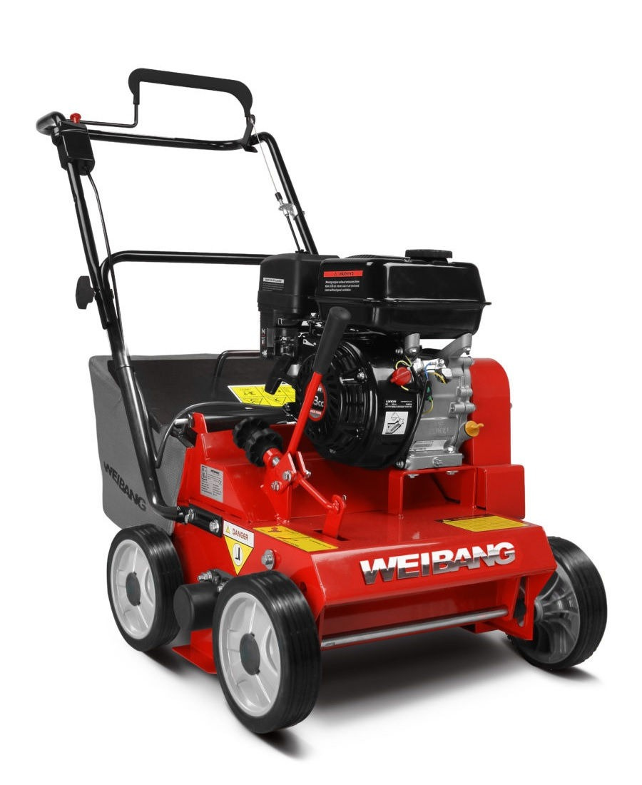 Weibang Vertikutierer WB 384 RC AL