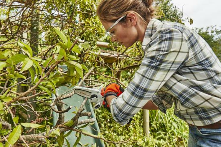 fa2de1f1dc41ea9ed3e47803074c1e3d5ab9e73e_MP_0042948_dj_bild3_stihl_gehoelzschneider_gta_26_in_aktion_garten